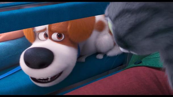 Tajný život mazlíčků 2: Domácí zvířata představují v trailerech nová dobrodružství | Fandíme filmu