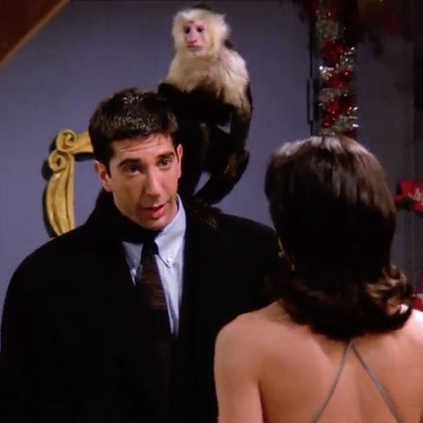 Přátelé: David Schwimmer prý s opicí nechtěl natáčet | Fandíme serialům