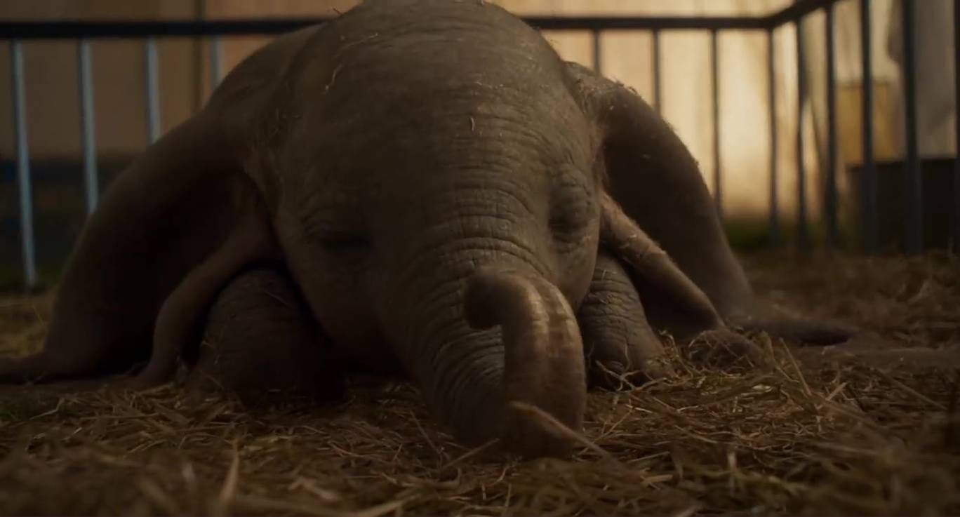 Box Office: Dumbo a další McConaugheyho propadák | Fandíme filmu