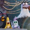 Angry Birds ve filmu 2: Nový trailer slibuje neslýchané spojení ptáků s prasaty | Fandíme filmu