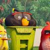 Angry Birds ve filmu 2: Nový trailer slibuje neslýchané spojení ptáků s prasaty | Fandíme filmu