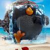 Angry Birds ve filmu 2: Nový trailer slibuje neslýchané spojení ptáků s prasaty | Fandíme filmu
