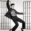 Elvis Presley a Tom Hanks ovládnou hudební svět | Fandíme filmu