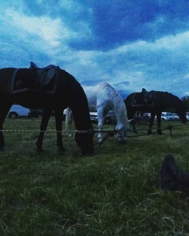 Zaklínač: Fotky z natáčení odhalují Nilfgaardský kemp | Fandíme serialům