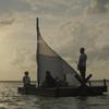 The Peanut Butter Falcon: Trailer na netradiční buddy movie o chlapci s Downovým syndomem, kterého doprovází Shia LaBeouf | Fandíme filmu