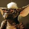 Gremlins: Původní autor chystá návrat oblíbených příšerek | Fandíme filmu