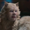 Cats: Známí herci v traileru na novou verzi muzikálu zmutovali do děsivé "kočičí" podoby | Fandíme filmu