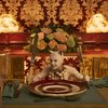 Cats: Známí herci v traileru na novou verzi muzikálu zmutovali do děsivé "kočičí" podoby | Fandíme filmu