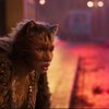 Cats: Známí herci v traileru na novou verzi muzikálu zmutovali do děsivé "kočičí" podoby | Fandíme filmu