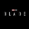 Blade: Marvelovský zabiják upírů míří do výroby, našel scenáristku | Fandíme filmu