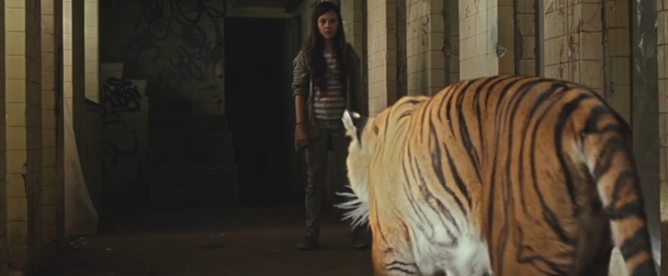 Tigers Are Not Afraid: Trailer na horor, který chválí i Stephen King | Fandíme filmu