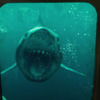 47 Meters Down: Uncaged: Klaustrofobie se žraloky v novém traileru | Fandíme filmu