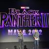 Black Panther 2 oznámil datum premiéry | Fandíme filmu