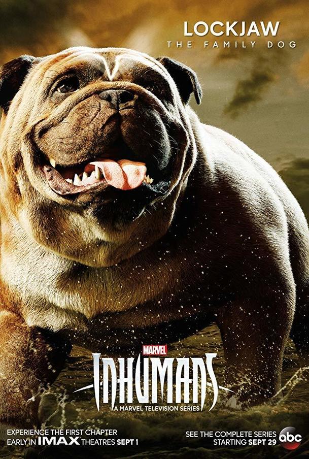 Inhumans: Jednou se údajně dočkáme filmové verze zpackané marvelovky | Fandíme filmu