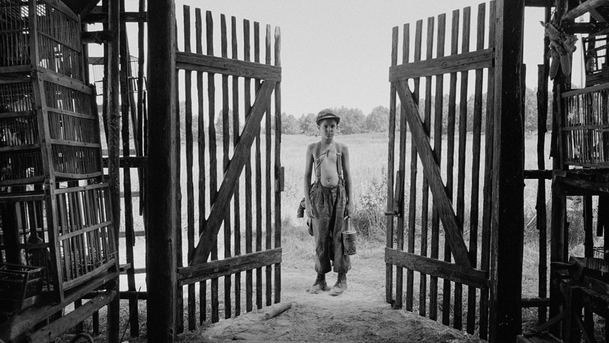 Režisér Nabarveného ptačete Václav Marhoul získal mezinárodní zastoupení. Má i další mezinárodní ambice? | Fandíme filmu