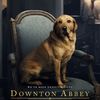 Panství Downton: Premiéra filmového pokračování je za rohem. Seznamte se | Fandíme filmu