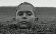 Nabarvené ptáče dostalo ocenění na festivalu v Benátkách | Fandíme filmu