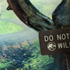 Jurský svět: Nový krátký film ukáže střet dinosaurů s člověkem na pevnině | Fandíme filmu
