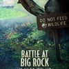 Battle at Big Rock: Sledujte nový krátký film ze série Jurský svět | Fandíme filmu