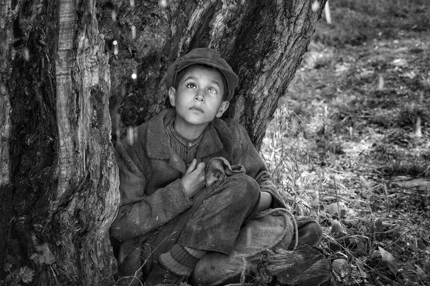 Režisér Nabarveného ptačete Václav Marhoul získal mezinárodní zastoupení. Má i další mezinárodní ambice? | Fandíme filmu