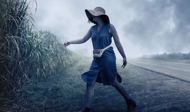 In the Tall Grass: Další horor podle Stephena Kinga se představuje v traileru | Fandíme filmu
