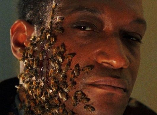 Stung: V novém thrilleru zaútočí ve velkém zabijácké včely | Fandíme filmu