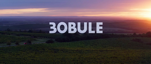 3Bobule: Po jedenácti letech se vratíme mezi vinaře | Fandíme filmu