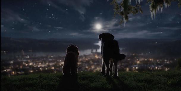 Lady a Tramp:  Psí romantika se připomíná v druhém traileru | Fandíme filmu