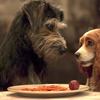 Lady a Tramp:  Psí romantika se připomíná v druhém traileru | Fandíme filmu