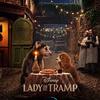 Lady a Tramp:  Psí romantika se připomíná v druhém traileru | Fandíme filmu