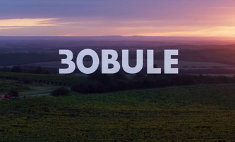 3Bobule: Po jedenácti letech se vratíme mezi vinaře | Fandíme filmu