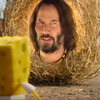 SpongeBob ve filmu: Houba na útěku: Keanu Reeves jako mluvící roští a další blbiny v prvním traileru | Fandíme filmu