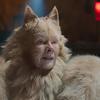 Cats se po kritice snaží upravit podobu zmutovaných člověko-kočičích hybridů | Fandíme filmu