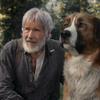 Volání divočiny: Jednoduchý dobrodružný film se psem byl nesmyslně drahý a tratí miliony | Fandíme filmu
