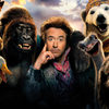 Dolittle: Nová upoutávka zkouší pobavit Downeyho „konkurzem“ se zvířecími herci | Fandíme filmu