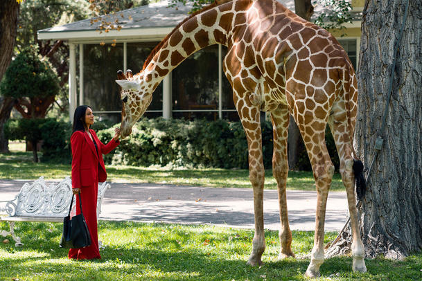 Briarpatch: Trailer na seriál s Rosario Dawson odhalil datum premiéry | Fandíme serialům