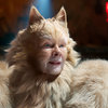 Zlaté maliny 2020: V hollywoodských anticenách posbíraly děsivé Cats, co mohly | Fandíme filmu