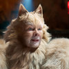 Recenze: Cats: Kočičí muzikál nepotěší ani zaryté kočkomily | Fandíme filmu