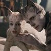 Cats: Fanoušci vrátili do filmu kočičí zadky, podle trikařů byly přípravy otročina | Fandíme filmu