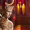 Cats: Posmívání trikařům na Oscarech vyprovokovalo roztržku | Fandíme filmu