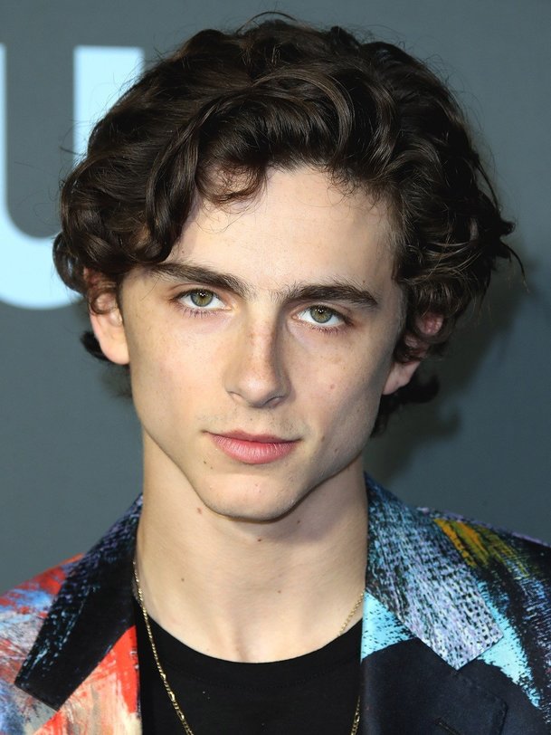 Timothée Chalamet | Fandíme filmu