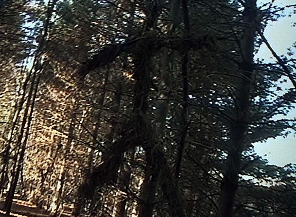 Tvůrci původní Záhady Blair Witch by rádi vybudovali celé universum | Fandíme filmu