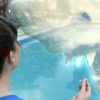 Ouija Shark: Déčkové žraločí horory vracejí úder | Fandíme filmu