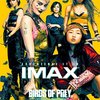 Birds of Prey: Hudební trailer a předpověď úvodních tržeb | Fandíme filmu