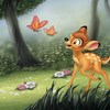 Bambi: Disney chystá další "hranou" předělávku ala Lví král | Fandíme filmu