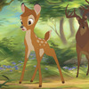 Bambi: Disney chystá další "hranou" předělávku ala Lví král | Fandíme filmu