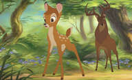 Bambi: Hranou předělávku klasiky připraví oscarová autorka | Fandíme filmu