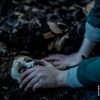 Brahms: The Boy II: Hororová loutka se vrátí - koukněte na trailer | Fandíme filmu