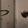 Candyman: Med, krev a zahnuté háky v prvním traileru hororové předělávky | Fandíme filmu