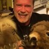 Arnold Schwarzenegger musel opět podstoupit operaci srdce | Fandíme filmu
